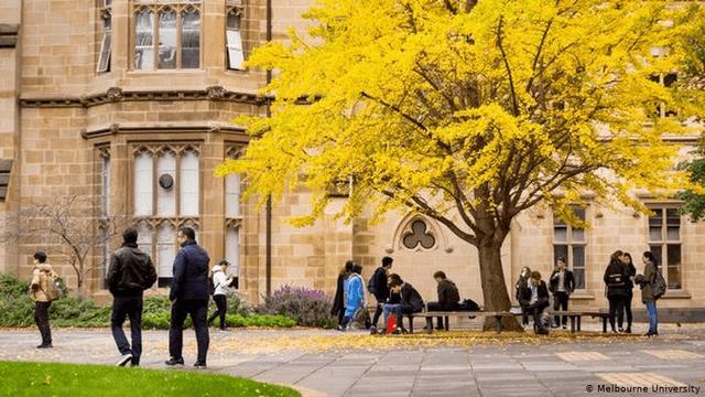 英大学包机结接中留学生返校 澳媒有话说