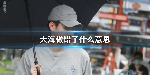 大海做错了什么意思 大海做错了什么是什么梗