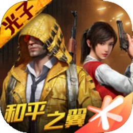 和平精英(和平之翼)