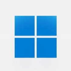 Windows 11