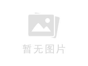 九哥模板