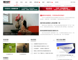 黑光网