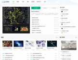星座网