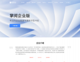 掌阅科技