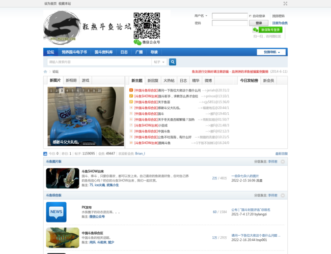 狂热斗鱼论坛