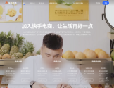 快手电商
