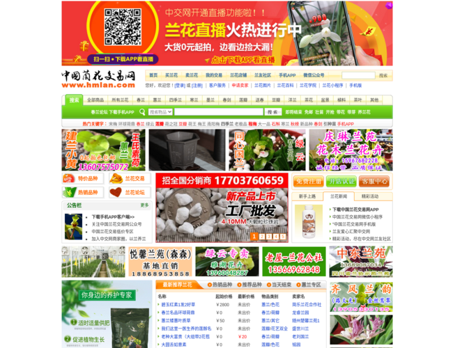 中国兰花交易网