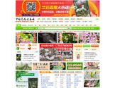 中国兰花交易网
