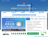 重庆市南岸区人民政府网