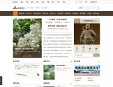 新浪佛学频道