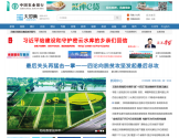 大河网