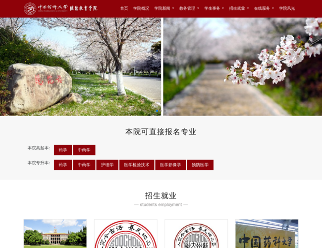 中国药科大学成人继续教育学院