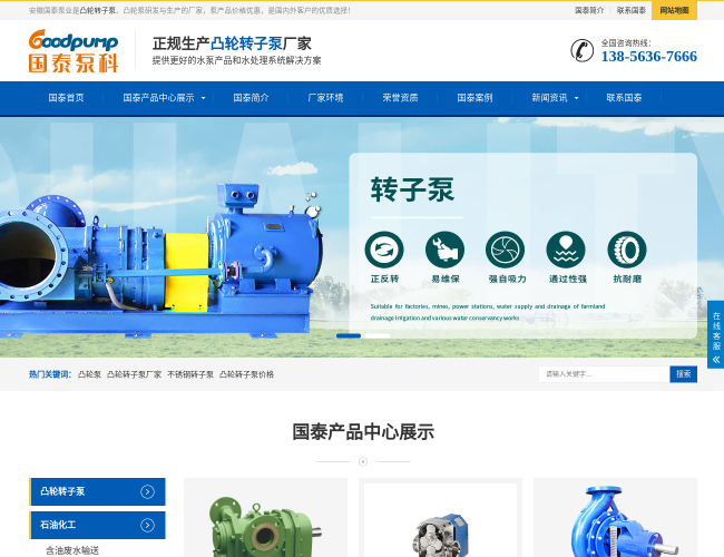 安徽国泰污泥转子泵