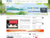 中国电信集团有限公司