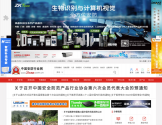 中国安防行业网