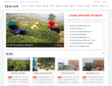 青岛崂山茶网