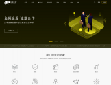 软件开发