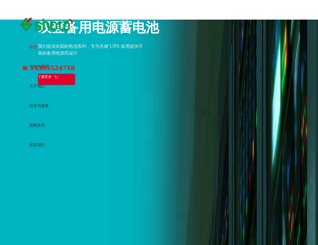 双登电池厂家