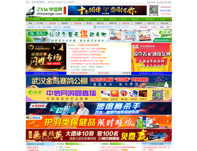 中信网