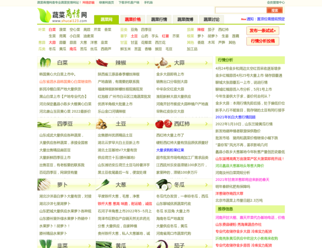 蔬菜商情网
