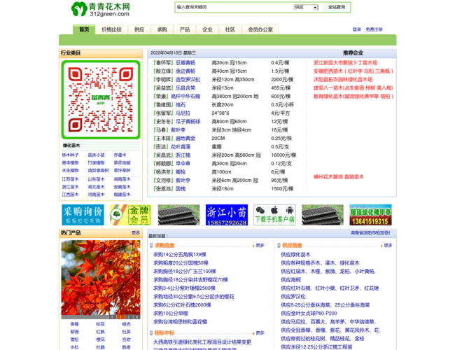 青青花木网