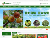 葡萄苗