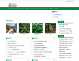 踏花行 踏花行