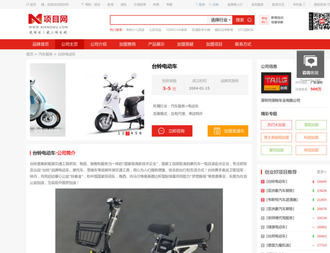 项目网台铃电动车