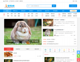 宠物网