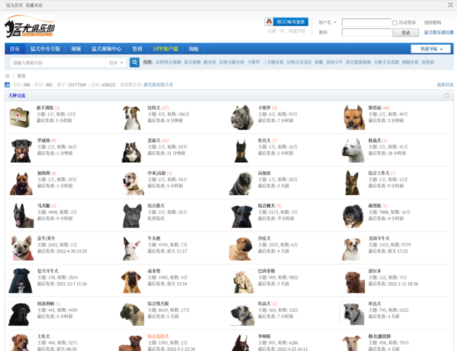 猛犬俱乐部