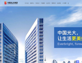 中国光大集团股份公司