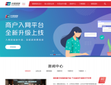 China UnionPay 中国银联
