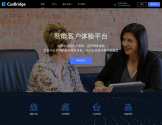 CusBridge CEM官网