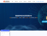 威实软件