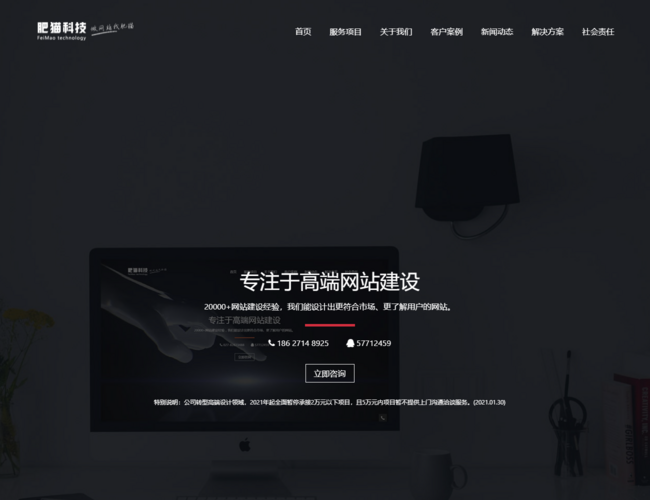 武汉肥猫网站建设