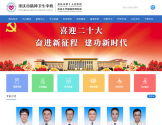 重庆市精神卫生中心 重庆市精神卫生中心