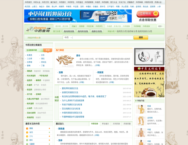中药查询