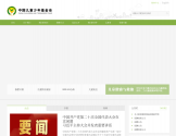 中国儿童少年基金会官网