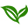 霍山石斛网 - Favicon