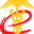 中国电子口岸 - Favicon