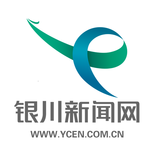 银川新闻网 - Favicon