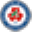 武汉大学人民医院 - Favicon